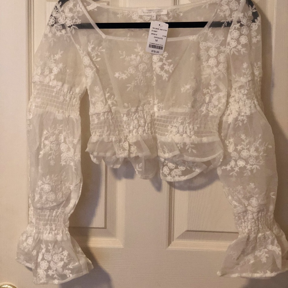 Lace Sheer Long Sleeve Crop Top